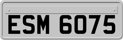ESM6075
