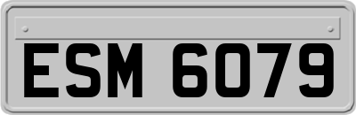 ESM6079