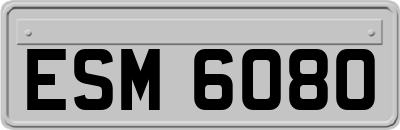ESM6080