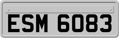 ESM6083