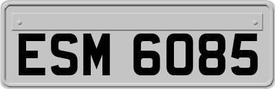 ESM6085