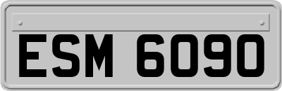 ESM6090