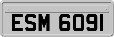 ESM6091