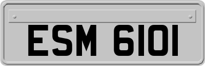 ESM6101