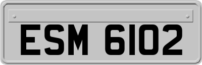 ESM6102