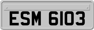 ESM6103