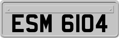 ESM6104