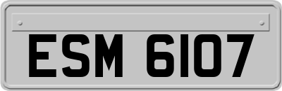 ESM6107