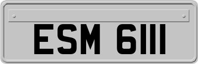 ESM6111