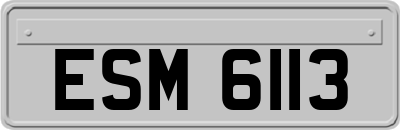 ESM6113