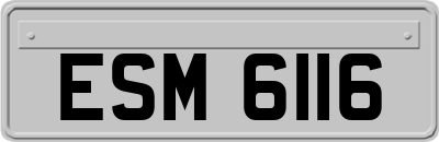 ESM6116