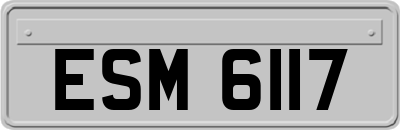 ESM6117