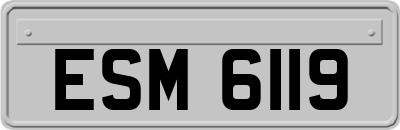 ESM6119