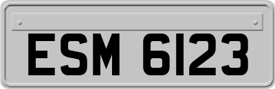 ESM6123