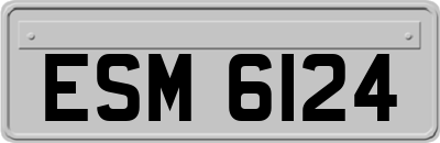ESM6124