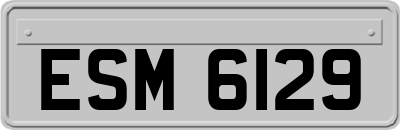 ESM6129