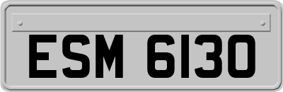 ESM6130