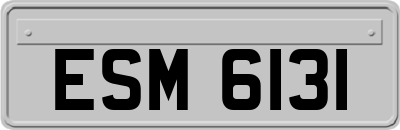 ESM6131