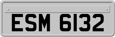 ESM6132