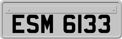 ESM6133
