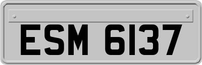 ESM6137