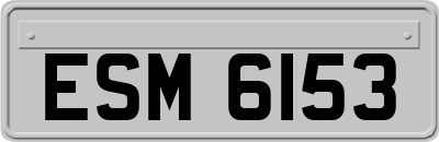 ESM6153
