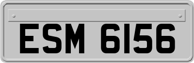 ESM6156