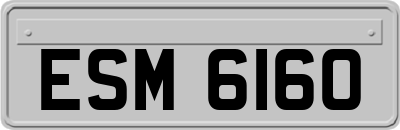 ESM6160