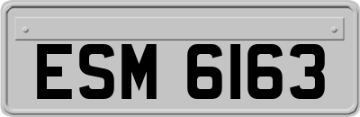 ESM6163