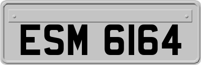 ESM6164
