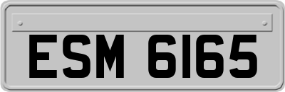 ESM6165