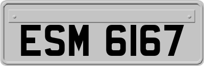 ESM6167