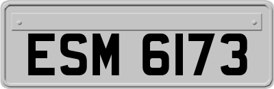 ESM6173