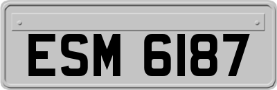 ESM6187