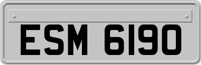 ESM6190