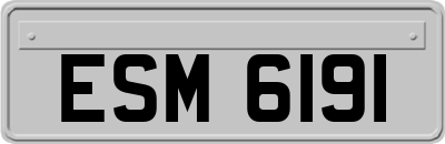 ESM6191