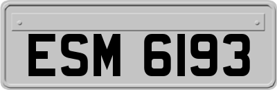 ESM6193