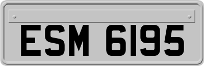 ESM6195