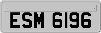 ESM6196