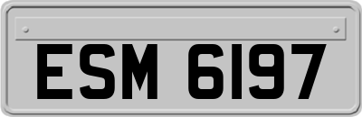 ESM6197
