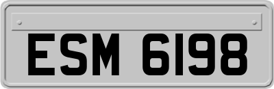 ESM6198