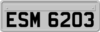 ESM6203