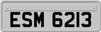 ESM6213
