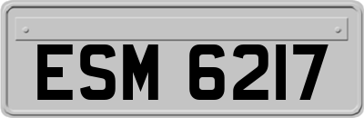 ESM6217