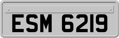 ESM6219