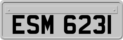 ESM6231