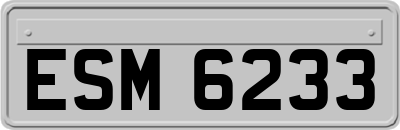 ESM6233