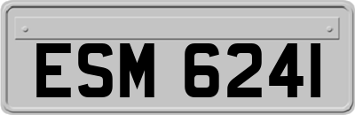 ESM6241