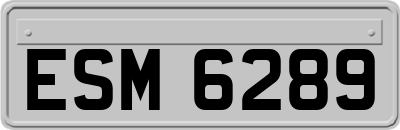 ESM6289