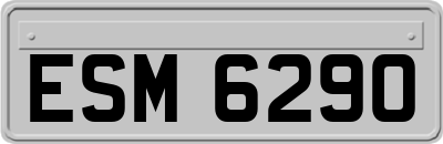 ESM6290